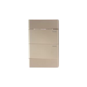 Carpinter M5 Interruptor Doble Dorado