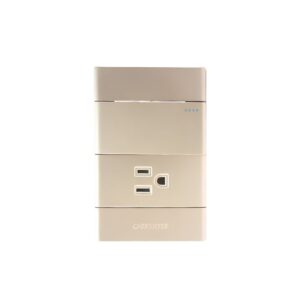 Carpinter M5 Toma Interruptor Dorado